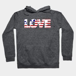 Love USA Hoodie